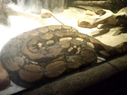 A splash and a spin in Houston A splash and a spin in Houston