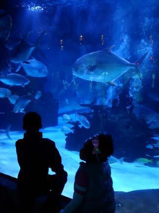 A splash and a spin in Houston A splash and a spin in Houston