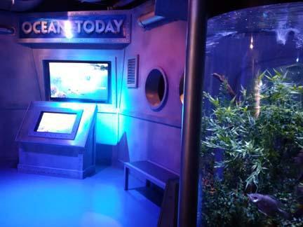 A splash and a spin in Houston A splash and a spin in Houston