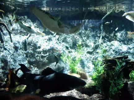 A splash and a spin in Houston A splash and a spin in Houston