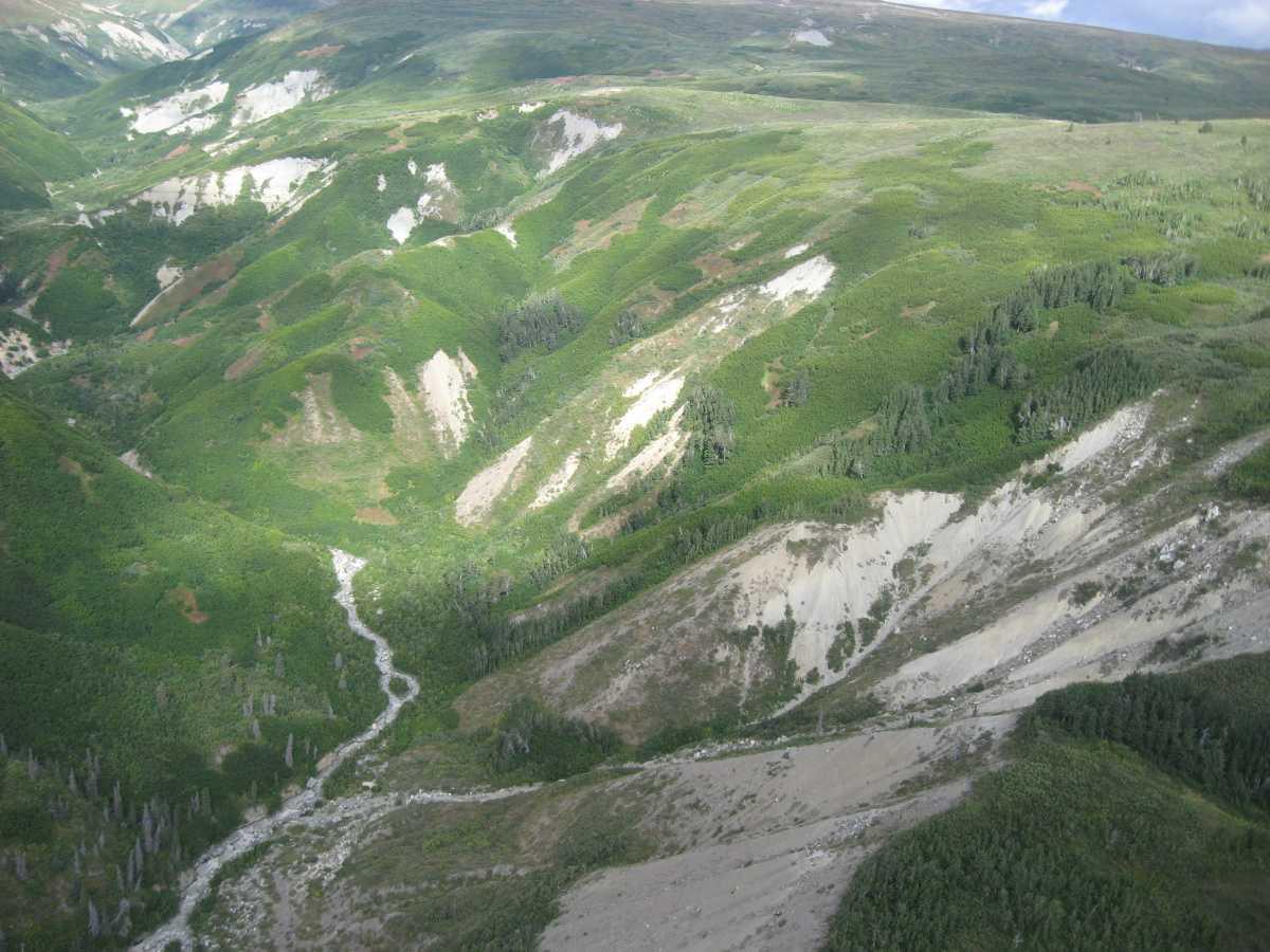 What a fine piece of... ice! What a fine piece of... ice!