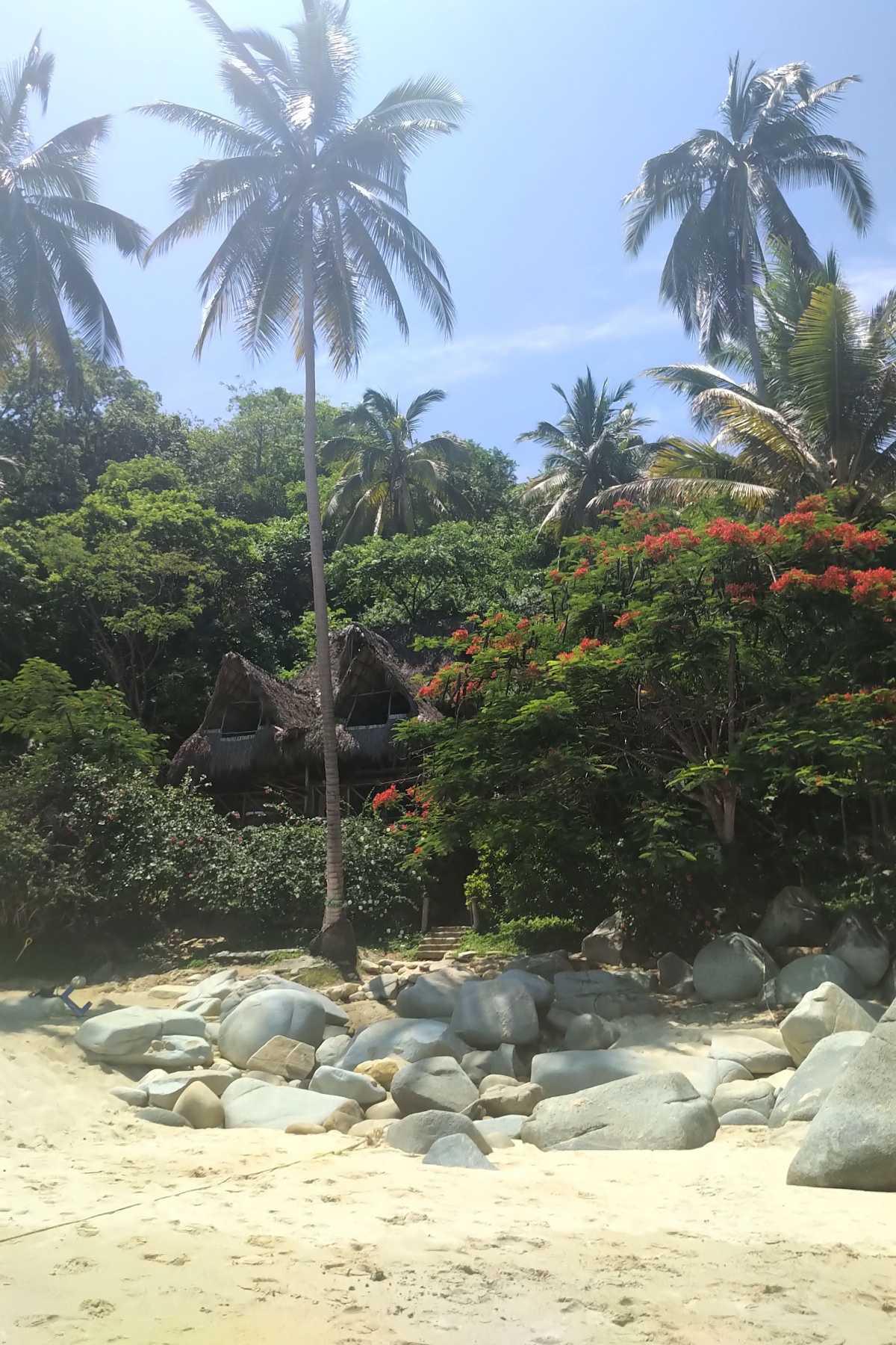 Making Waves: Buff's Brazilian cabin boy!