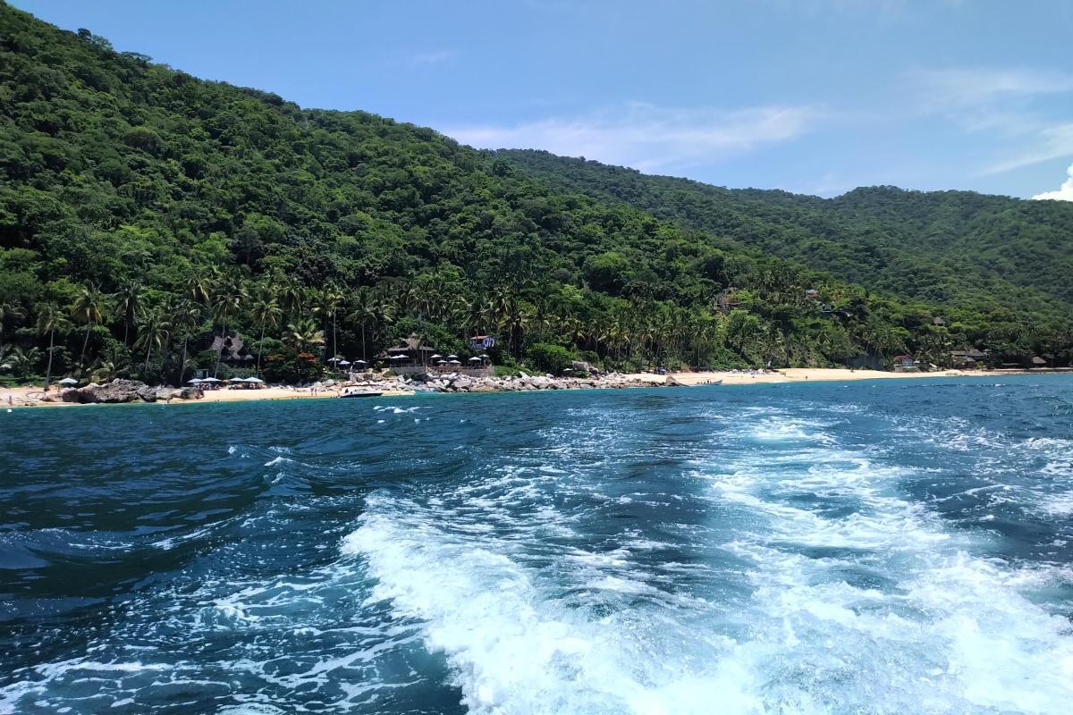 Making Waves: Buff's Brazilian cabin boy!