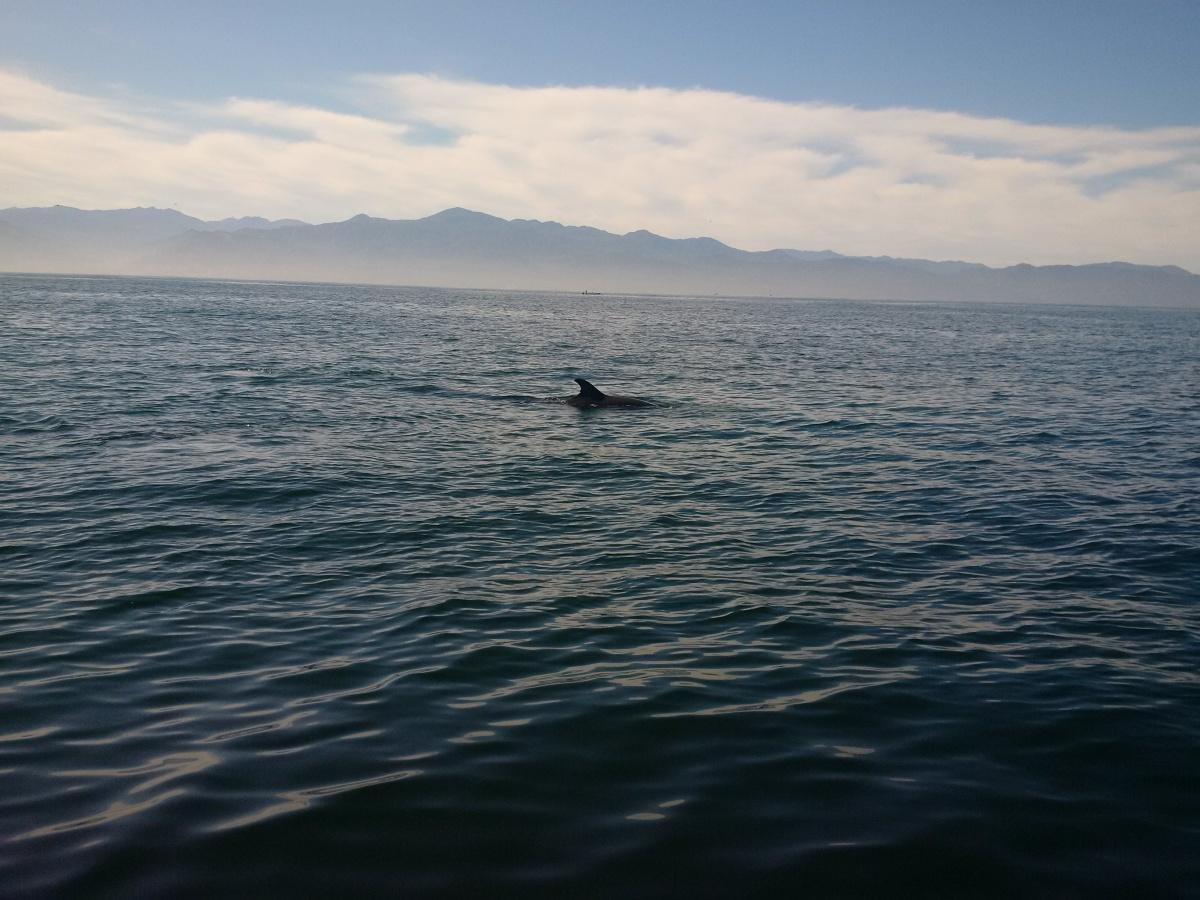 Making Waves: Buff's Brazilian cabin boy!