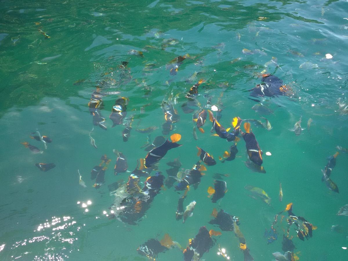 Making Waves: Buff's Brazilian cabin boy!