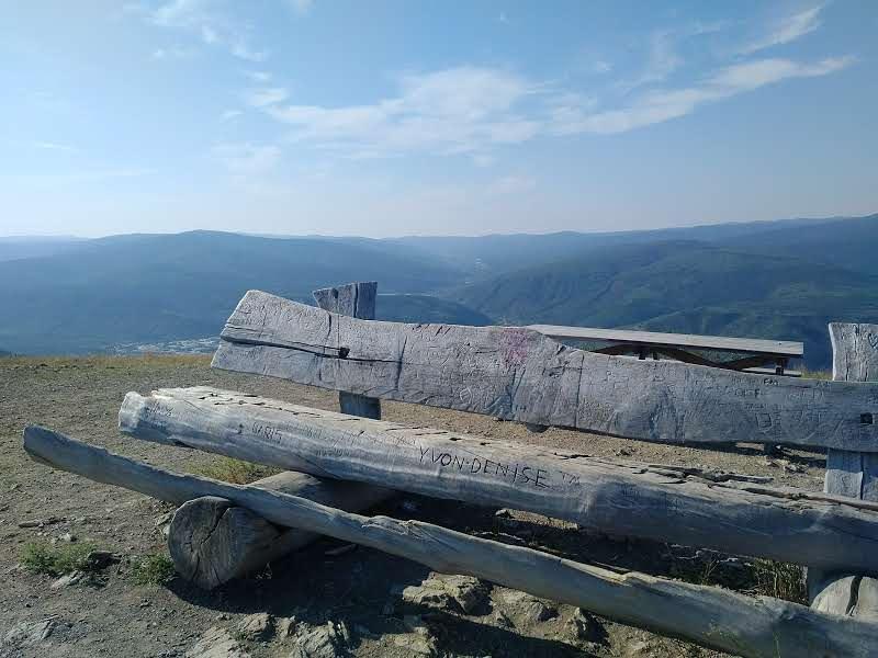 Almost touching the sky -- almost! Almost touching the sky -- almost!