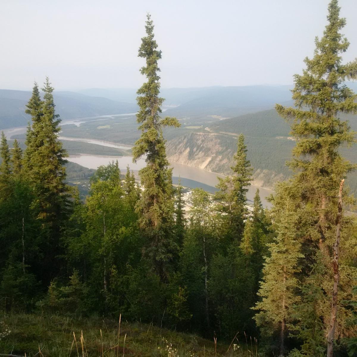 Almost touching the sky -- almost! Almost touching the sky -- almost!