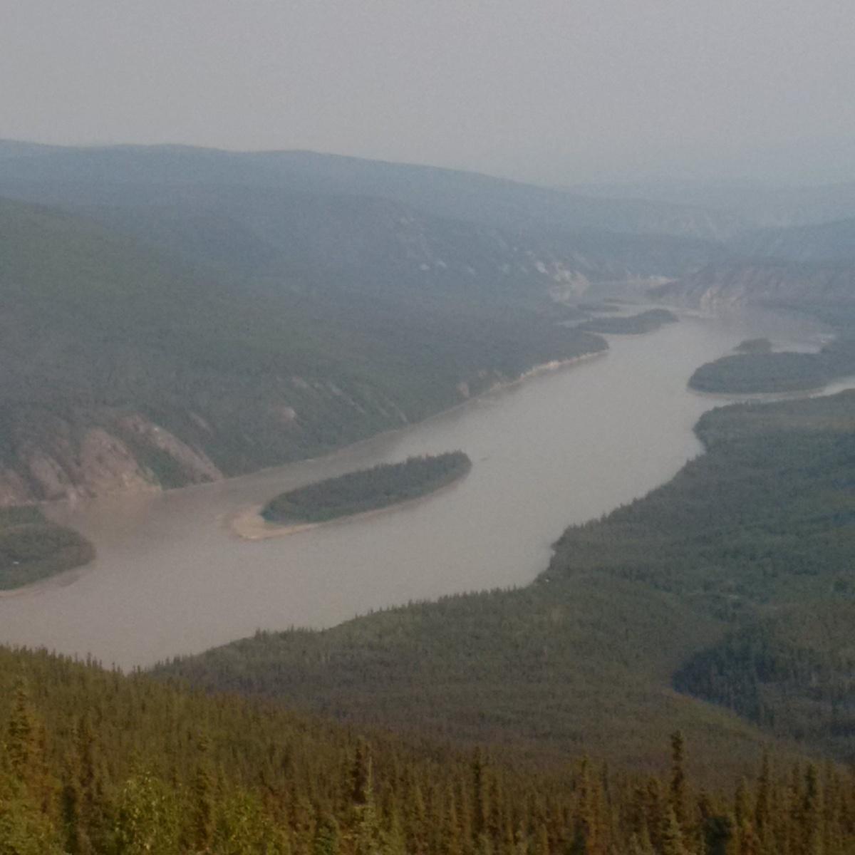 Almost touching the sky -- almost! Almost touching the sky -- almost!