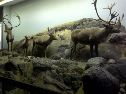 A journey through time on the Canadian prairies A journey through time on the Canadian prairies