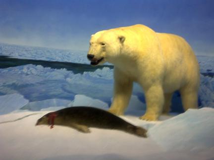 A journey through time on the Canadian prairies A journey through time on the Canadian prairies