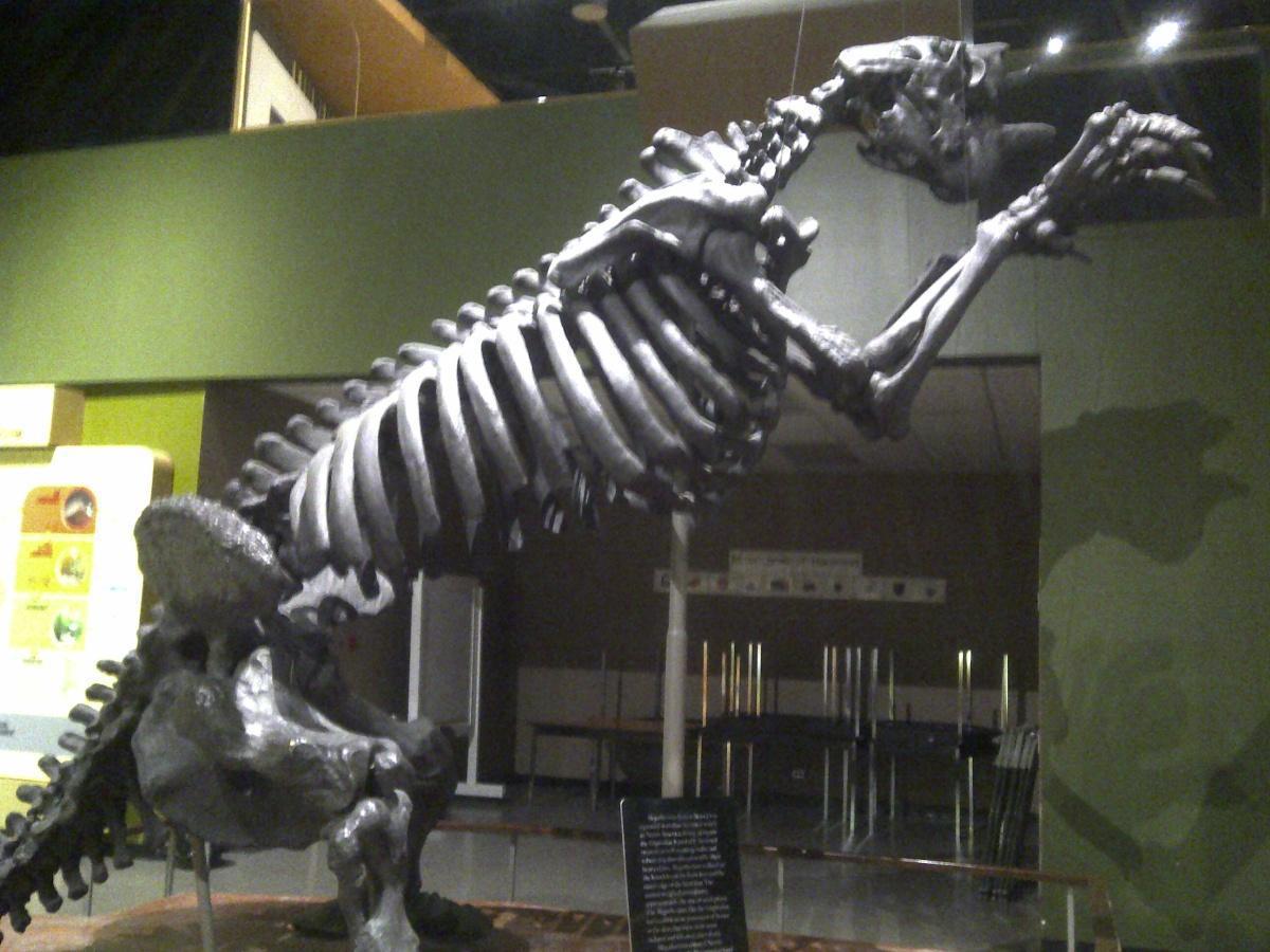 A journey through time on the Canadian prairies A journey through time on the Canadian prairies