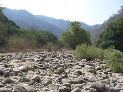 Barebacking while swimming Barebacking while swimming