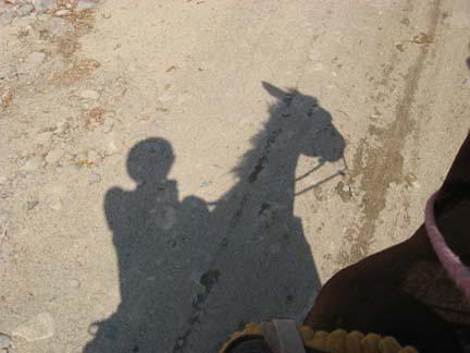 Barebacking while swimming Barebacking while swimming