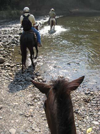 Barebacking while swimming