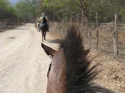 Barebacking while swimming Barebacking while swimming