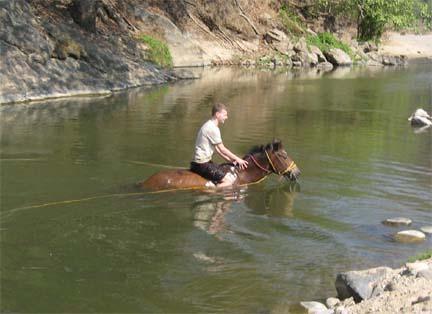 Barebacking while swimming