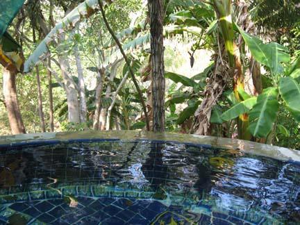 Barebacking while swimming