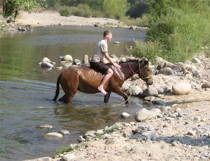 Barebacking while swimming
