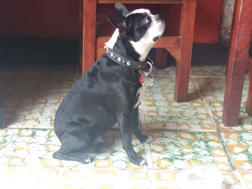 Taco and tequila yumyums Taco and tequila yumyums