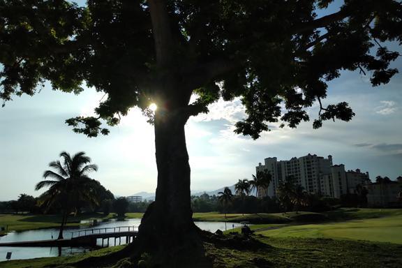 Fairways, flamingos and a fruity feast Fairways, flamingos and a fruity feast
