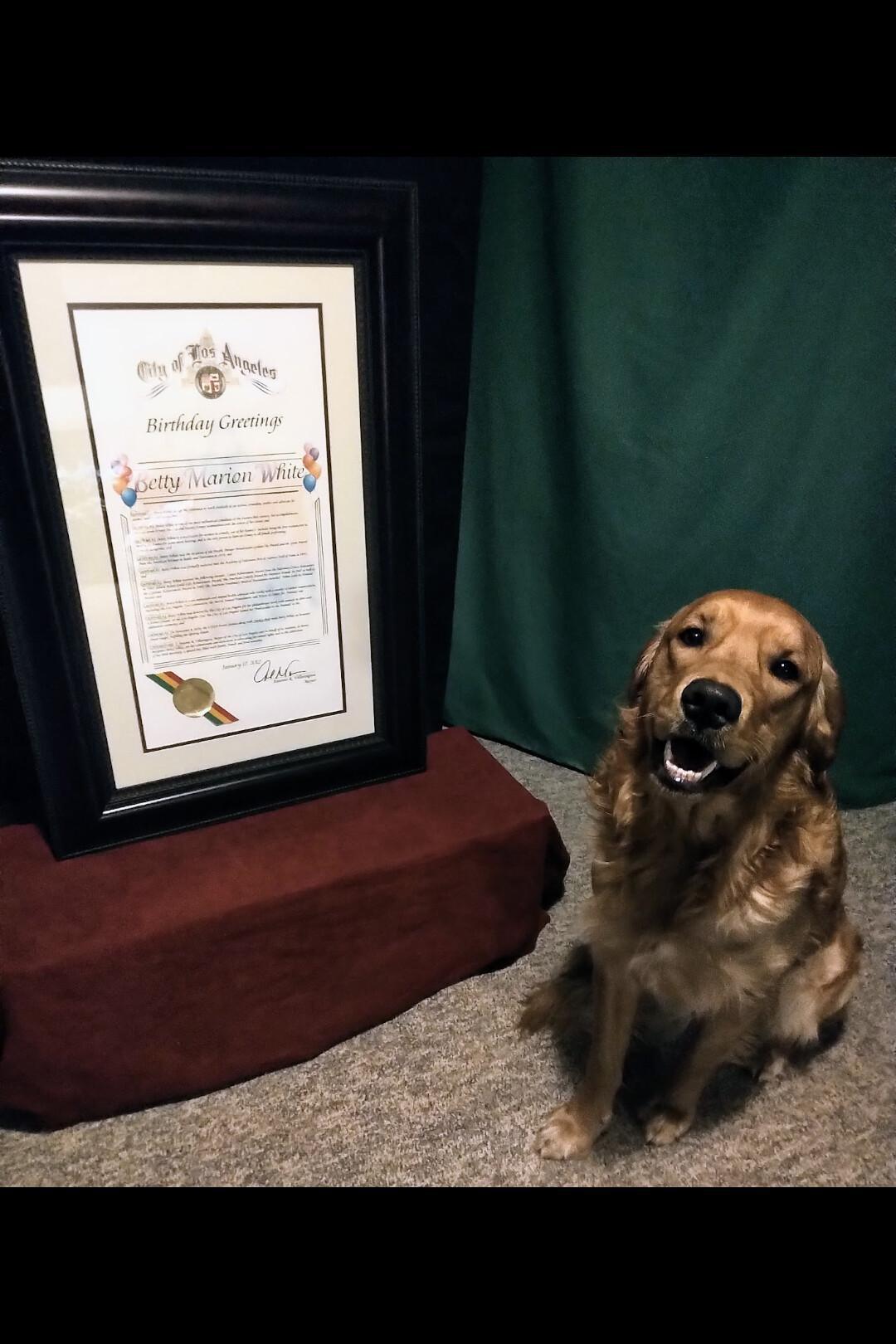 Celebrating Betty White! ...on her 104th birthday