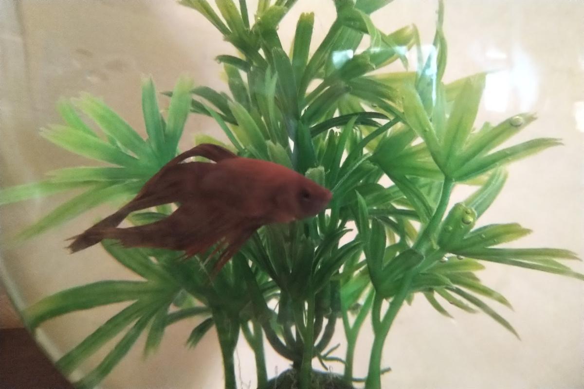 He IS the father! He IS the father!