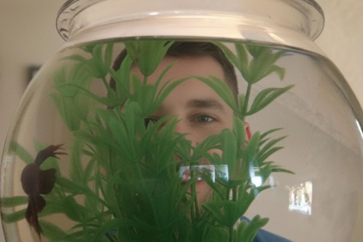 He IS the father! He IS the father!