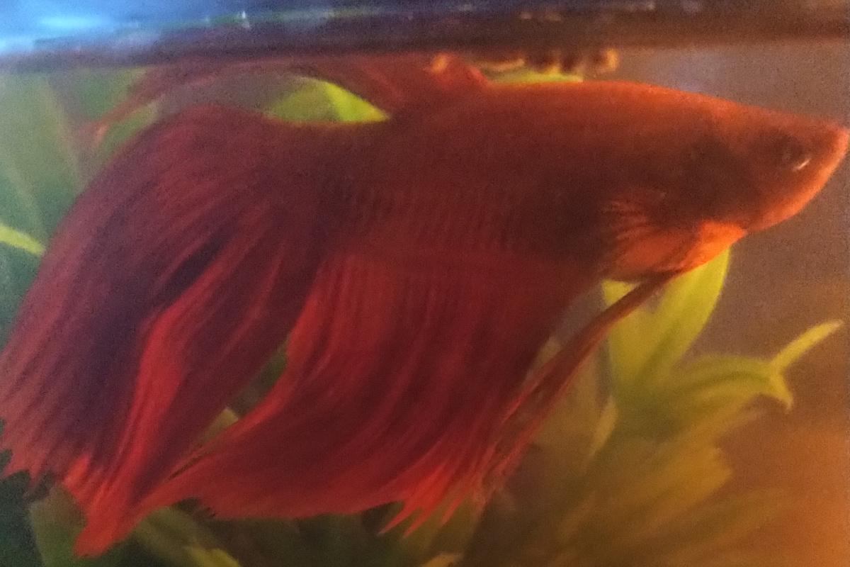 He IS the father! He IS the father!