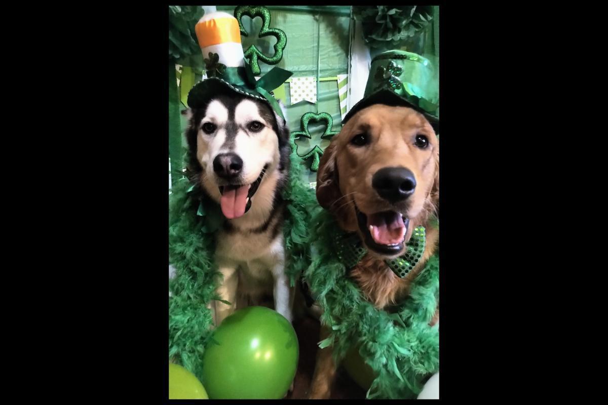 Buff does St. Patrick's Day!