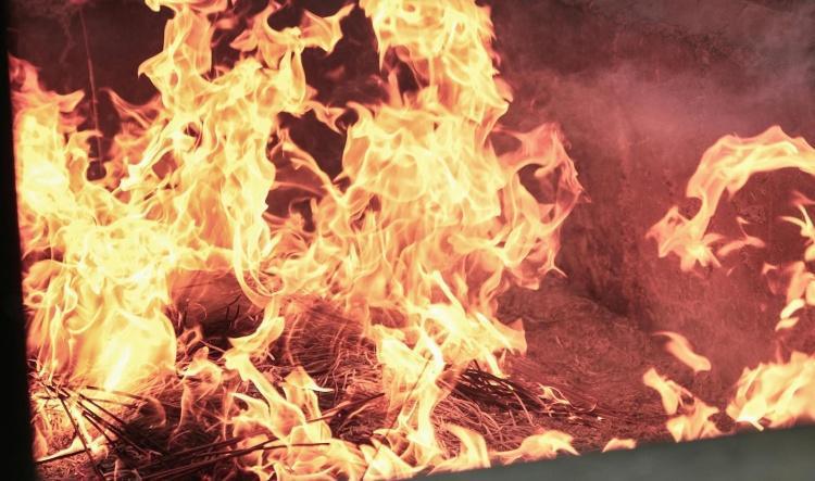 From one dumpster fire to another or...?