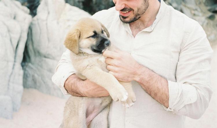 My partner isn't helping take care of our pet