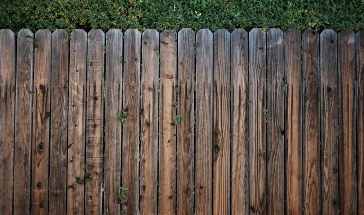 This explains why the neighbors won't have him over