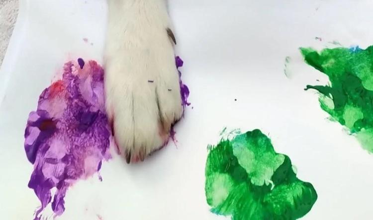 Dogs painting turned into Buff body art