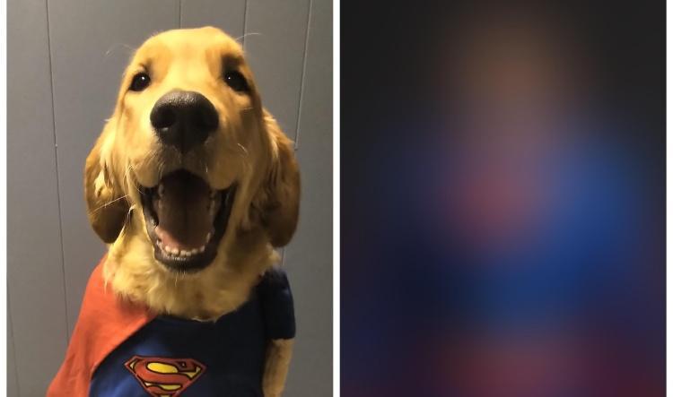 Who Wore It Better? Leo vs. Bruno: Superman Edition