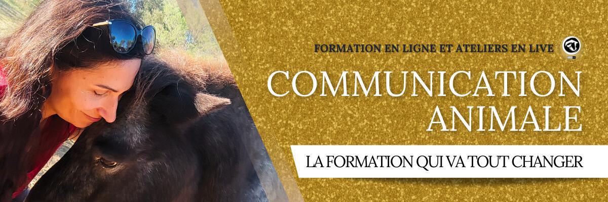 Communication Animale : formation en ligne