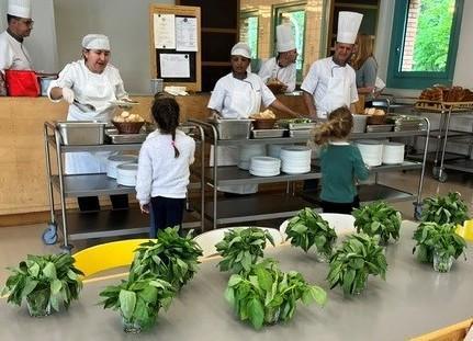 🌿 Le basilic à l’honneur dans les cantines scolaires !