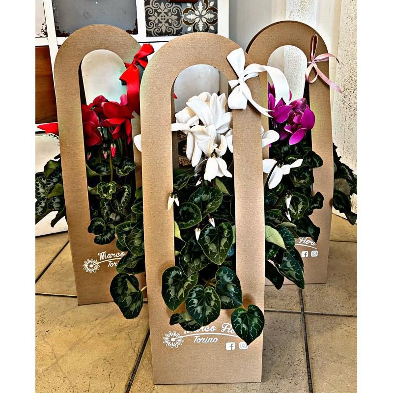 Marco Fiori Marco Fiori