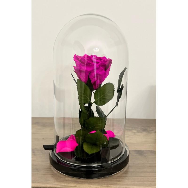 Marco Fiori Marco Fiori