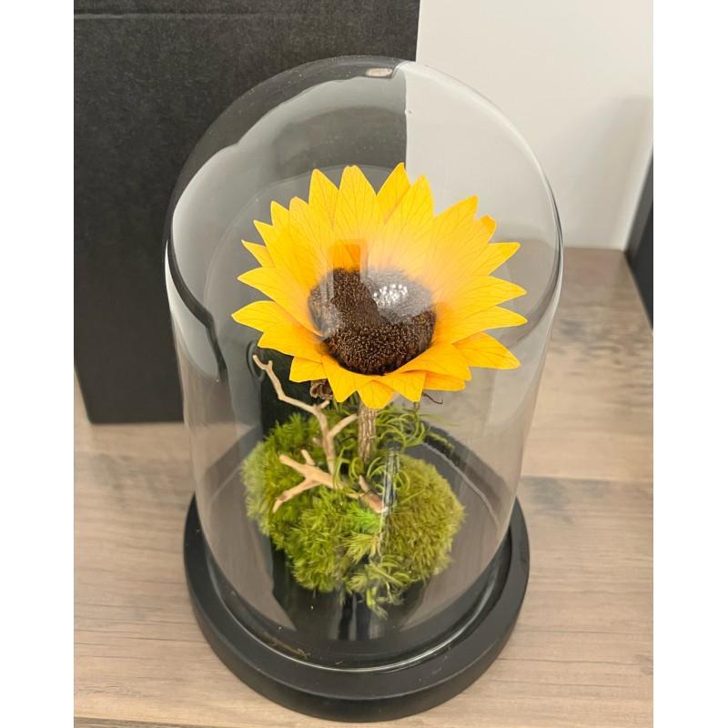 Marco Fiori Marco Fiori