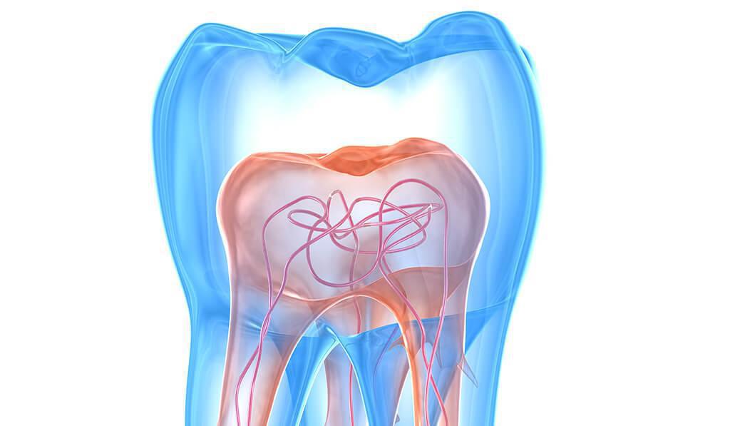 A.C.O. DENTAL A.C.O. DENTAL