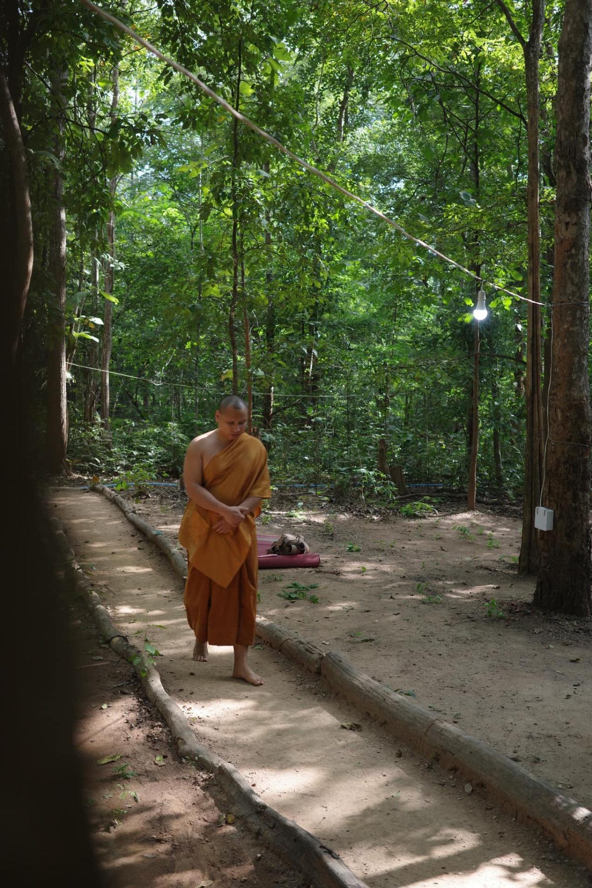 วัฏวน วัฏวน