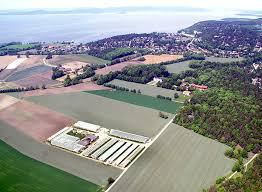 Reier gård & gartneri, Jeløy Moss 🇳🇴 🇬🇧 Reier gård & gartneri, Jeløy Moss 🇳🇴 🇬🇧