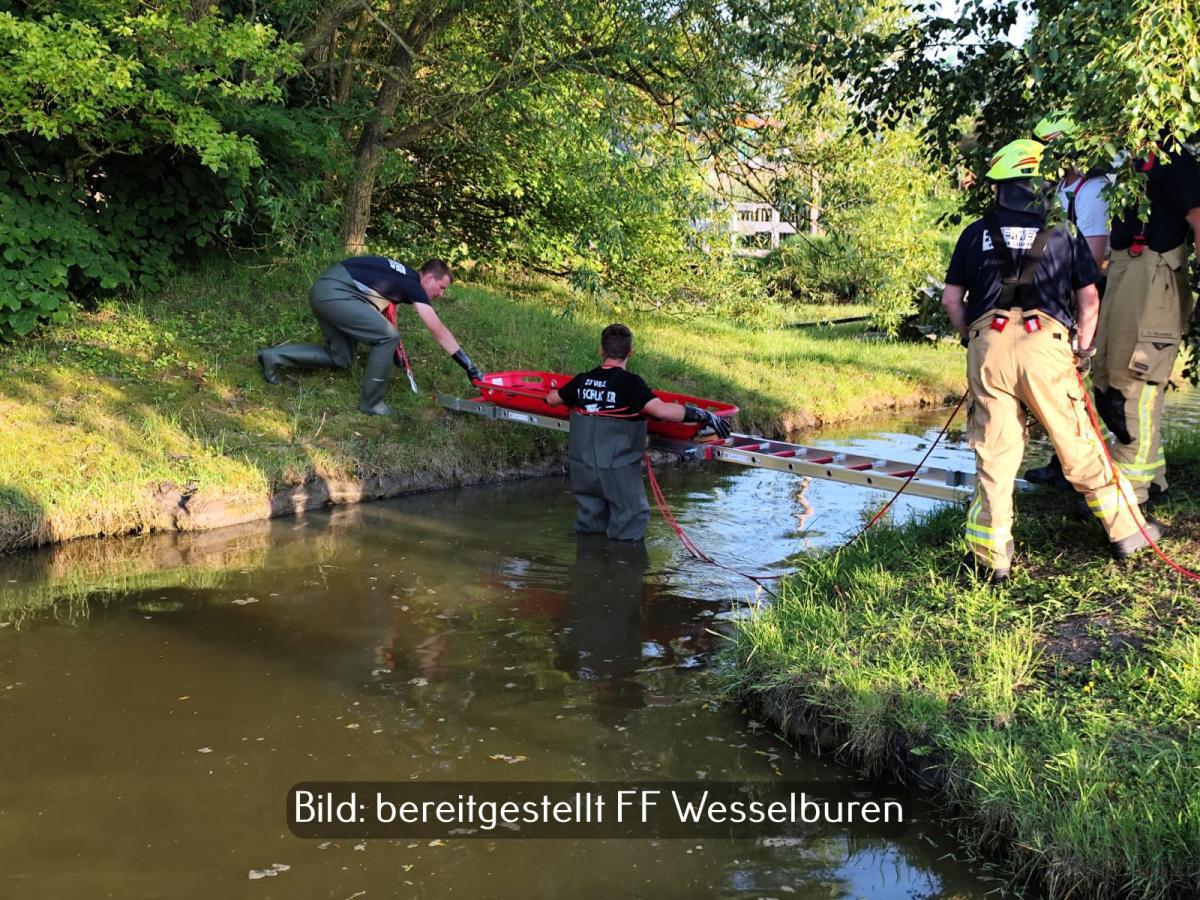 Wesselburen - Blitzeinschlag im Freizeitpark Wesselburen - Blitzeinschlag im Freizeitpark