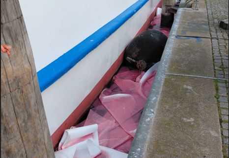 Büsum - Bunkerunfall sorgt für Feuerwehreinsatz