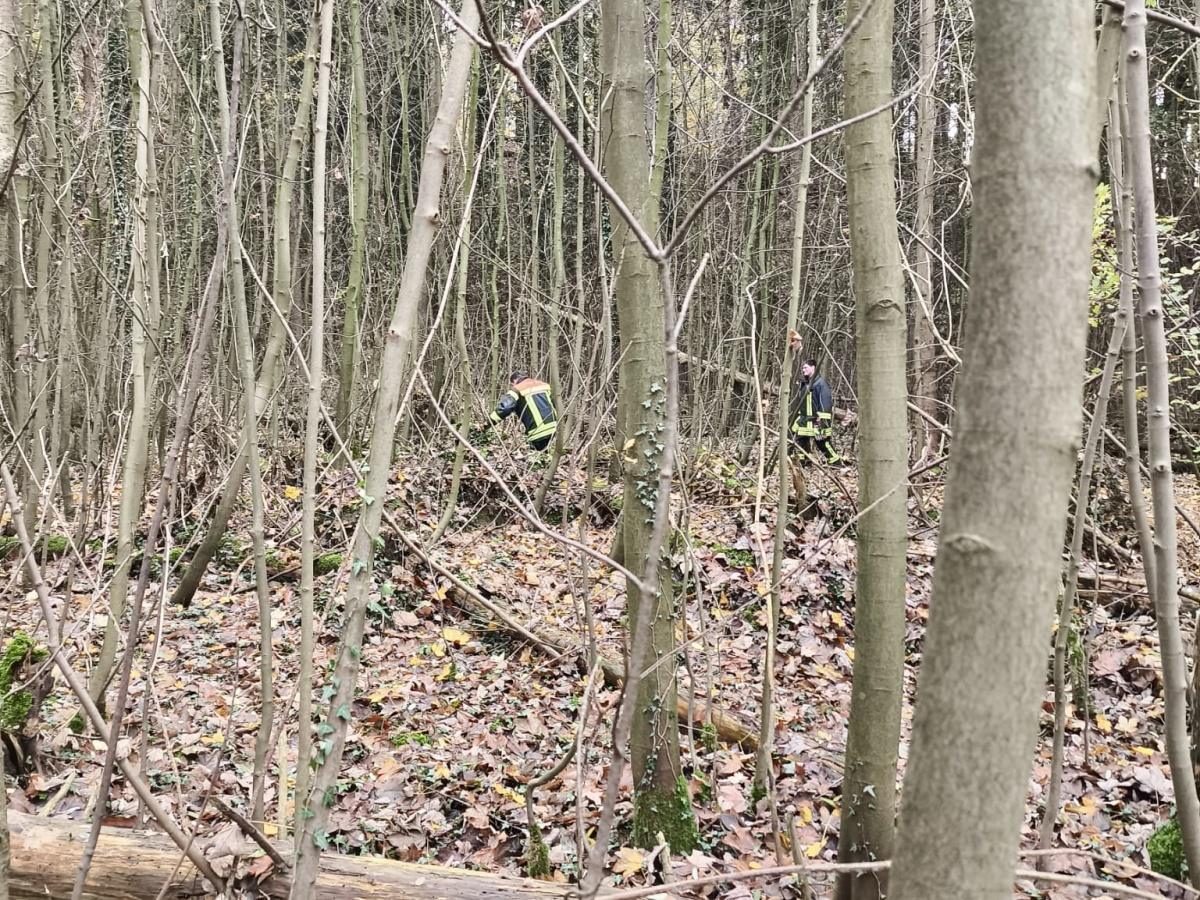 Burg - Suchaktion mit tragischem Ende