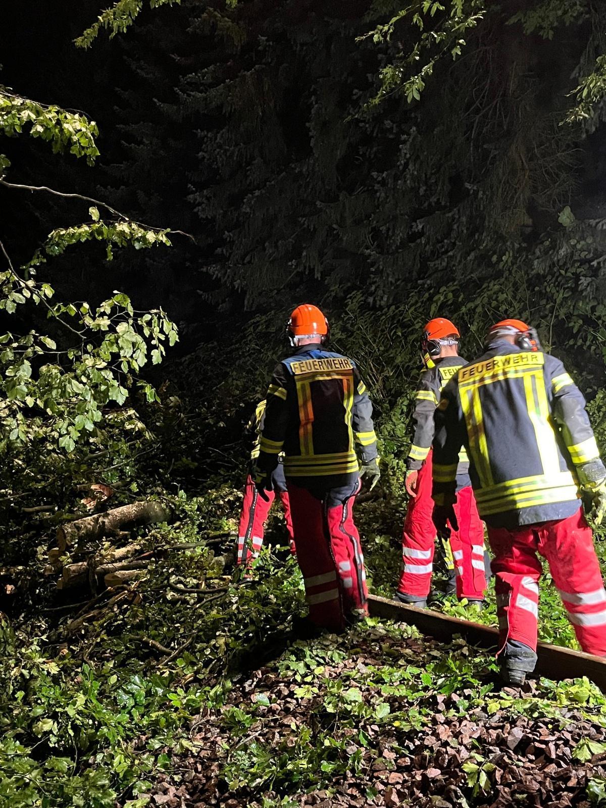 Regionalbahn fährt kurz vor Bahnhof Albersdorf über herabgefallene Baumkrone Regionalbahn fährt kurz vor Bahnhof Albersdorf über herabgefallene Baumkrone