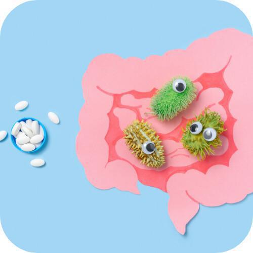 Analisi del microbiota Analisi del microbiota