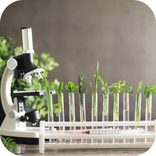 Laboratorio galenico