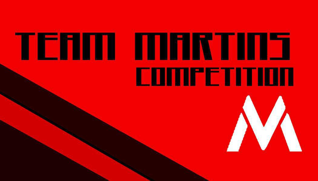 Loto Live "Team Martins Compétition"