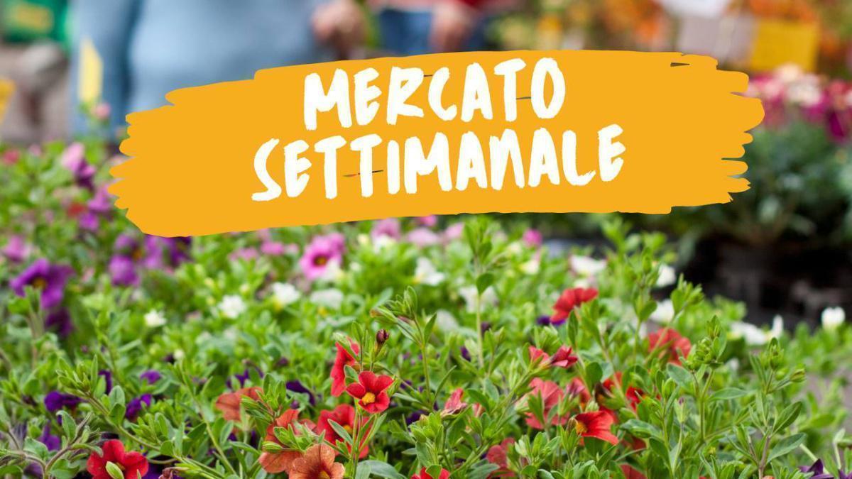  Mercato Settimanale (dalle ore 8.00 alle ore 13.00)